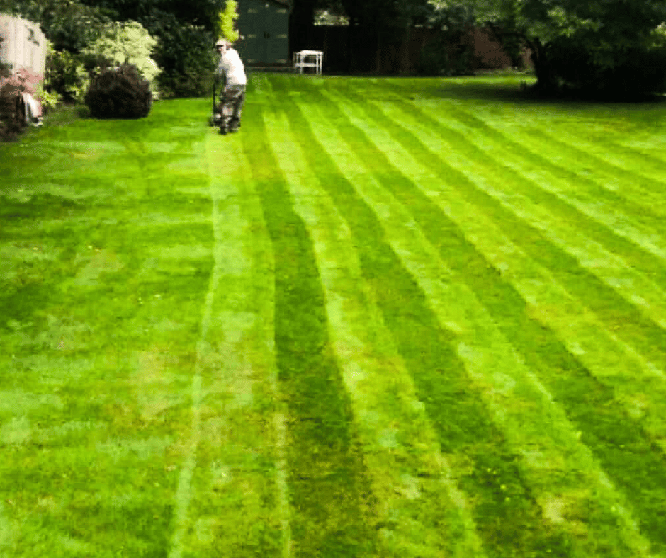 hedge trimming services, grass cutting services, lawn mowing services